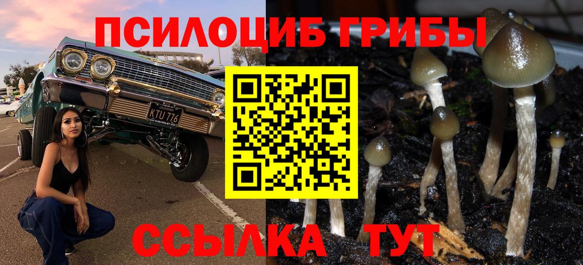 Галлюциногенные грибы Psilocybine cubensis  Вход с VPN  Псилоцибиновые грибы ЛСД  как найти закладки  Приморско-Ахтарск 