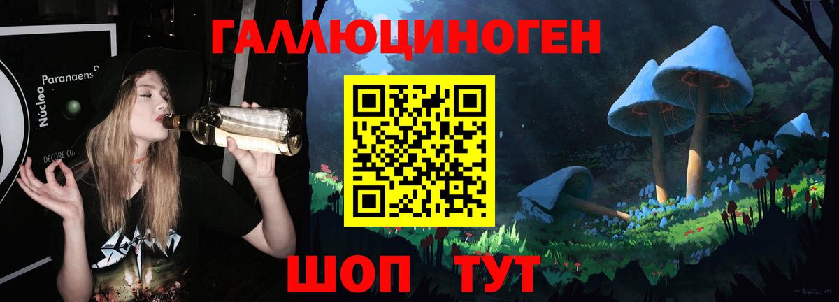 Псилоцибиновые грибы мухоморы Приморско-Ахтарск